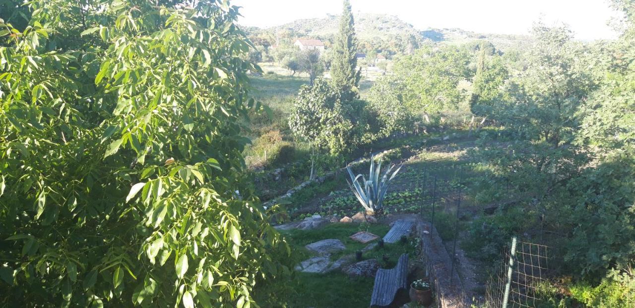 Casa Da Vizinha, Quinta Das Memorias Santo Antonio das Areias ภายนอก รูปภาพ