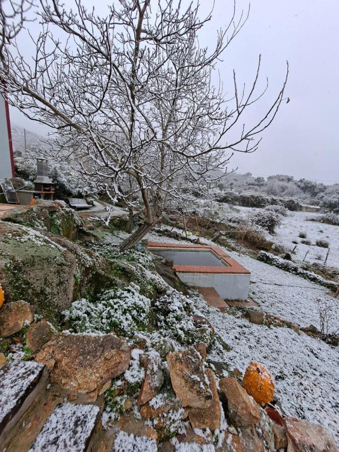 Casa Da Vizinha, Quinta Das Memorias Santo Antonio das Areias ภายนอก รูปภาพ