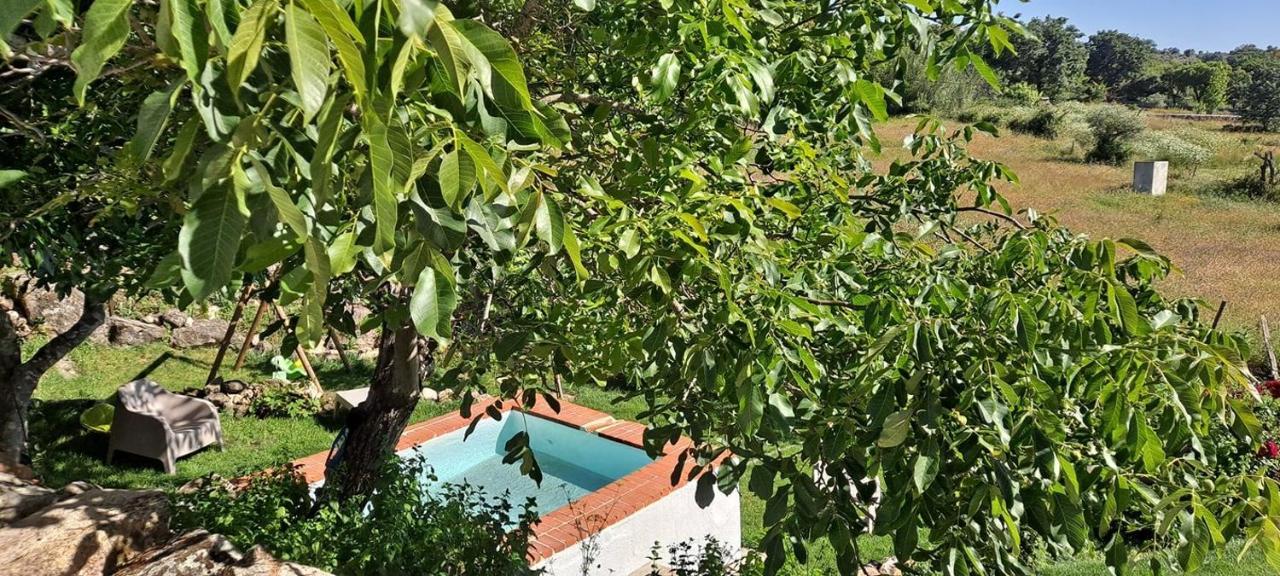 Casa Da Vizinha, Quinta Das Memorias Santo Antonio das Areias ภายนอก รูปภาพ